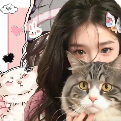 猎豹出击