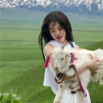 鳄鱼莱莱